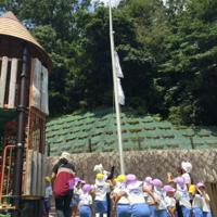 清水台幼稚園 お泊り保育